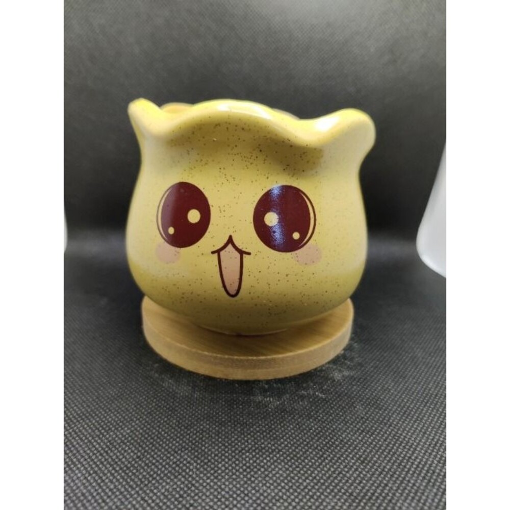 Cute Emoji Planter